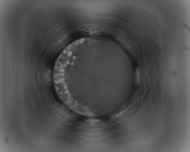 X0000092250650200710121300