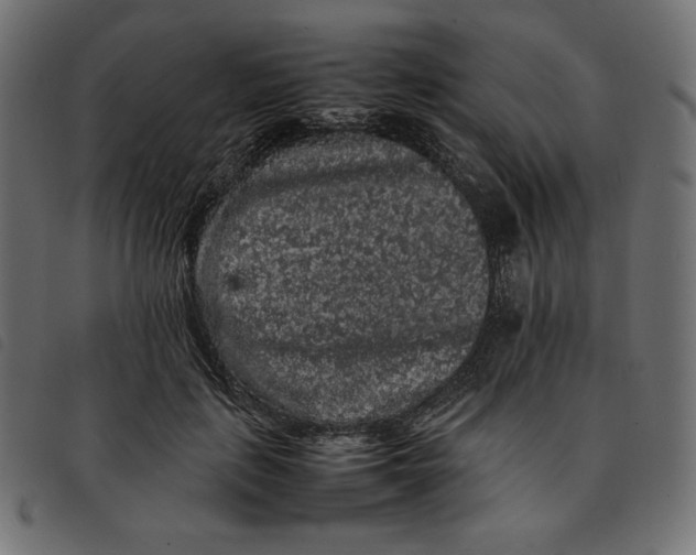 X0000092250651200710121300