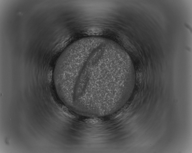 X0000092250652200710121300
