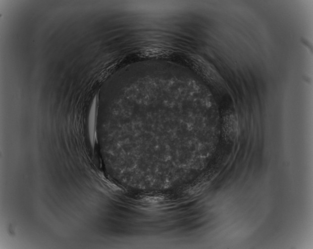 X0000092250653200710121300