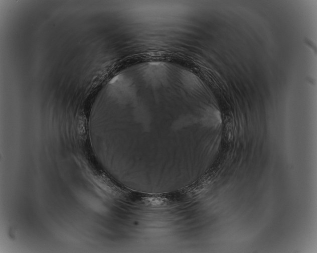 X0000092250654200710121300