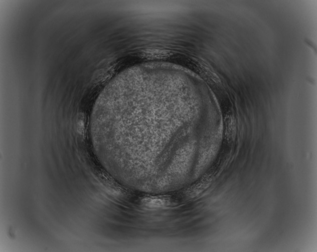 X0000092250655200710121300