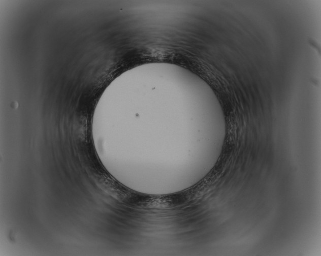 X0000092250656200710121300