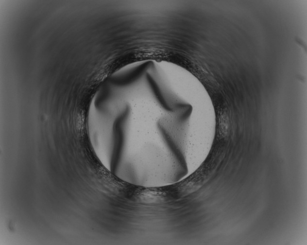X0000092250657200710121300