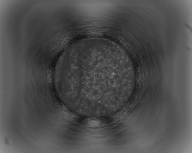 X0000092250658200710121300