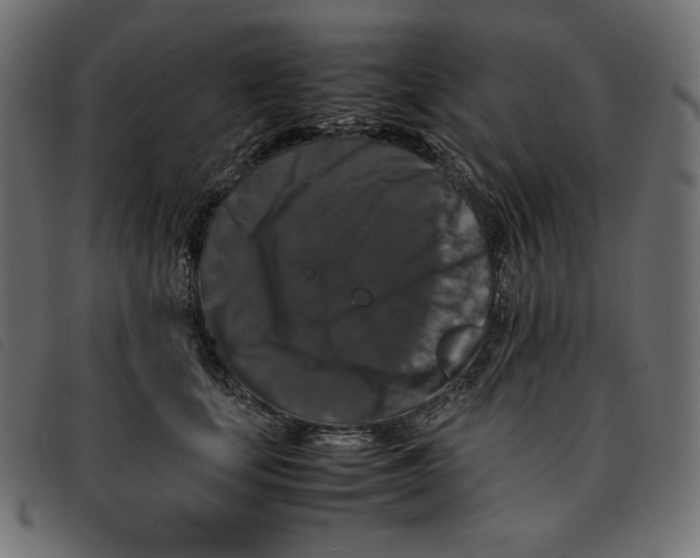 X0000092250659200710121300