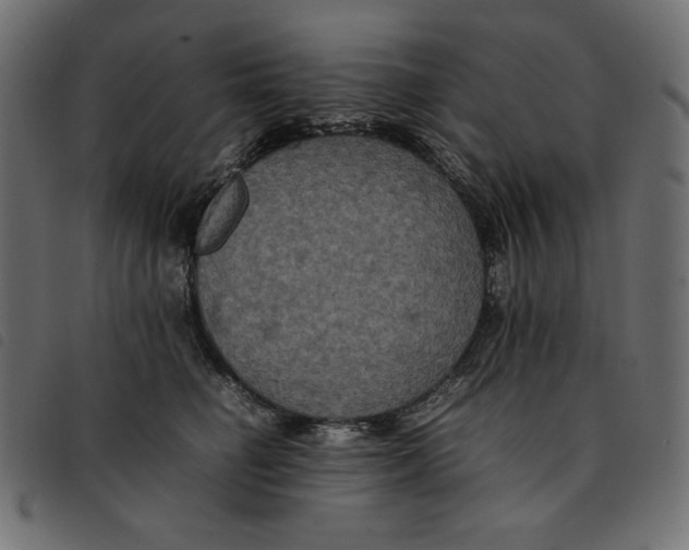 X0000092250662200710121300