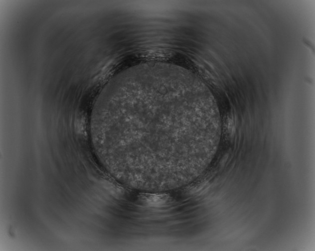 X0000092250663200710121300