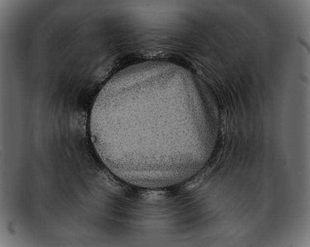 X0000092250664200710121300