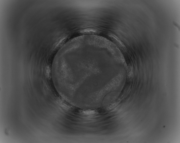 X0000092250669200710121300