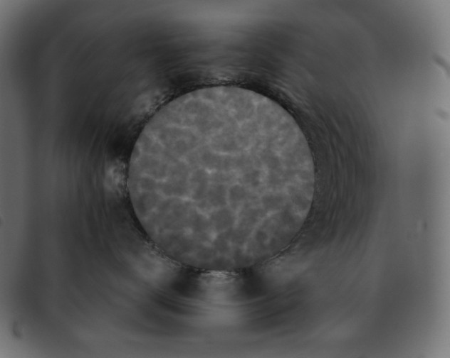 X0000092250672200710121300