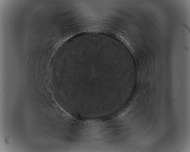 X0000092250673200710121259