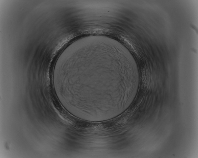 X0000092250674200710121259