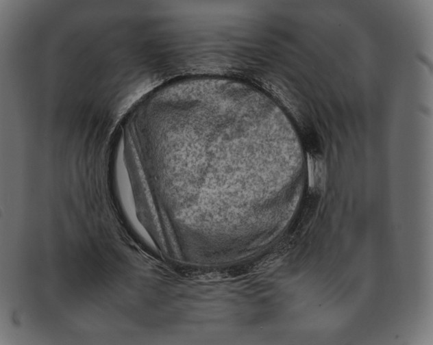 X0000092250675200710121259