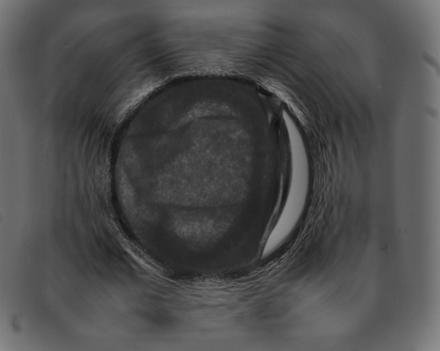 X0000092250677200710121259
