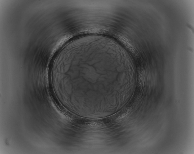 X0000092250678200710121259