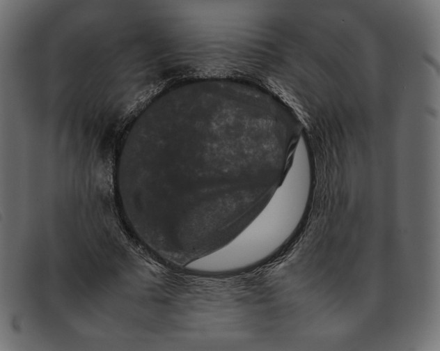 X0000092250681200710121259