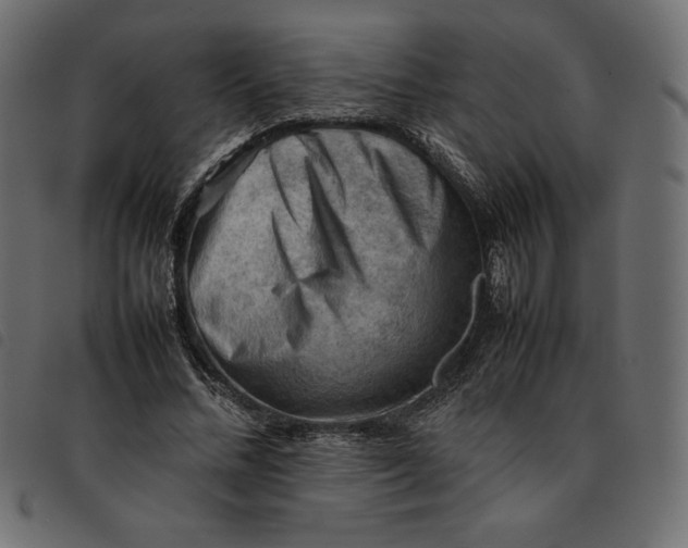 X0000092250684200710121259