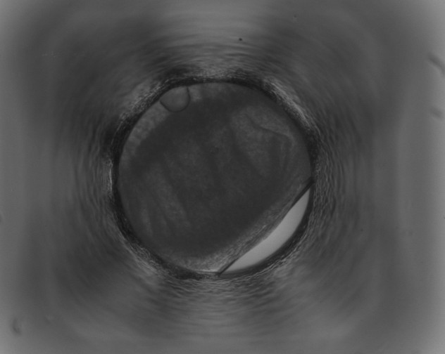 X0000092250685200710121259