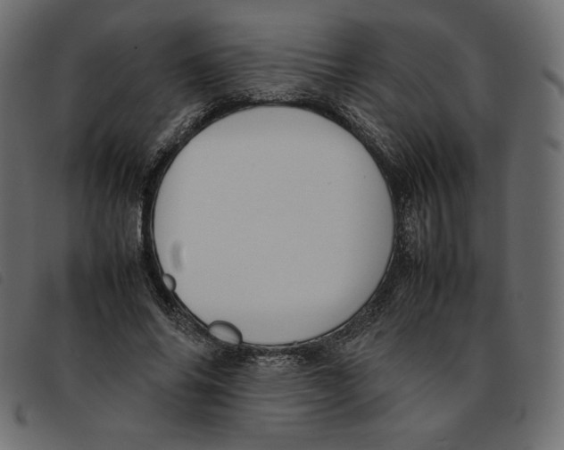 X0000092250686200710121259