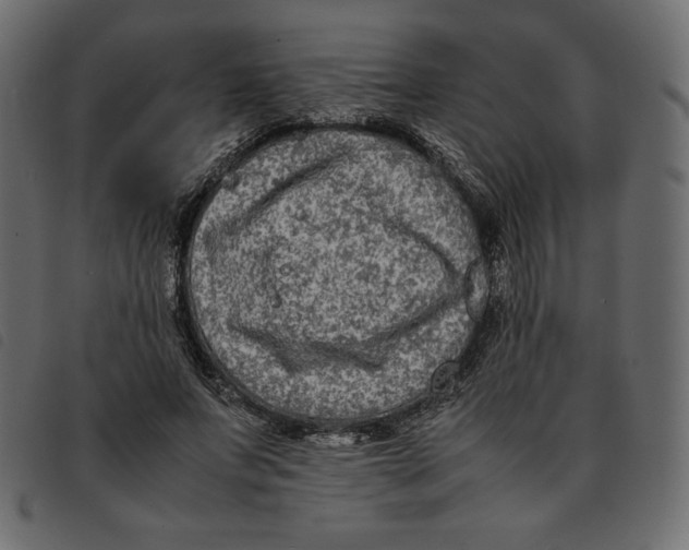 X0000092250687200710121259