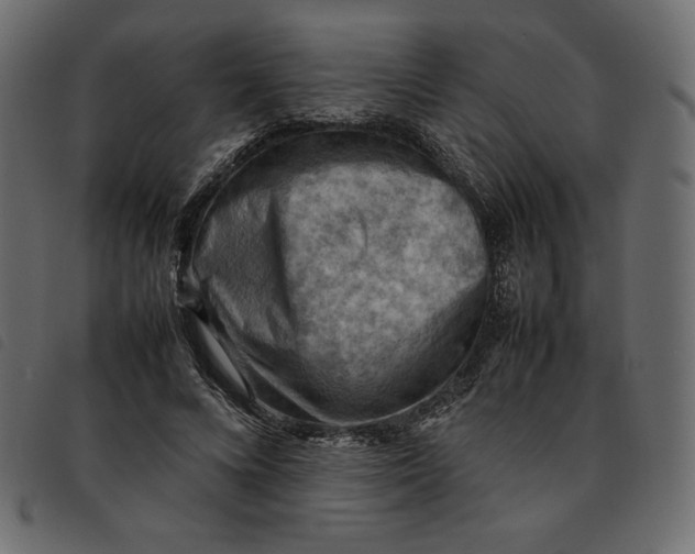 X0000092250688200710121259