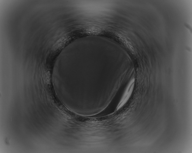 X0000092250689200710121259