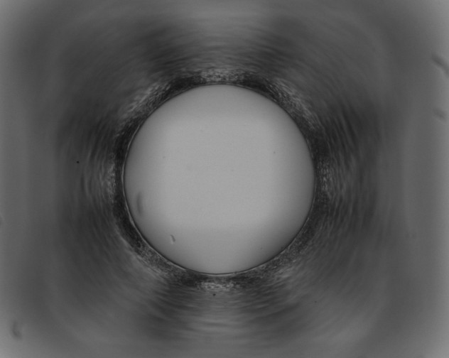 X0000092250690200710121259