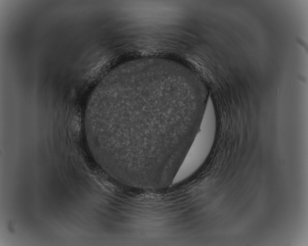 X0000092250691200710121259