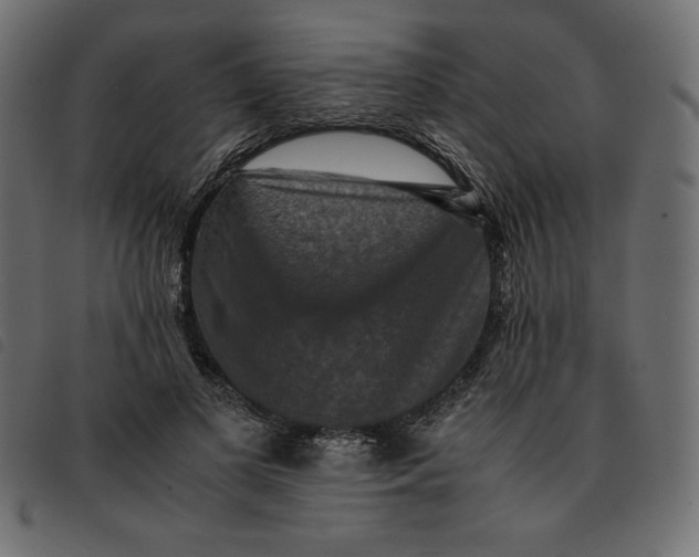 X0000092250693200710121259