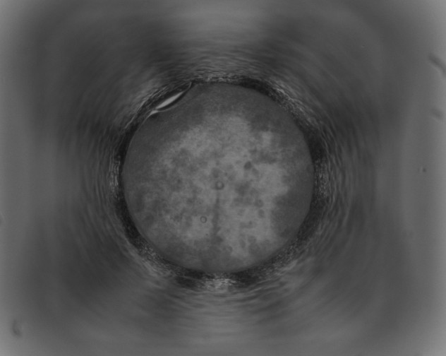 X0000092250695200710121259