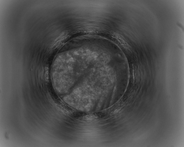 X0000092250696200710121259