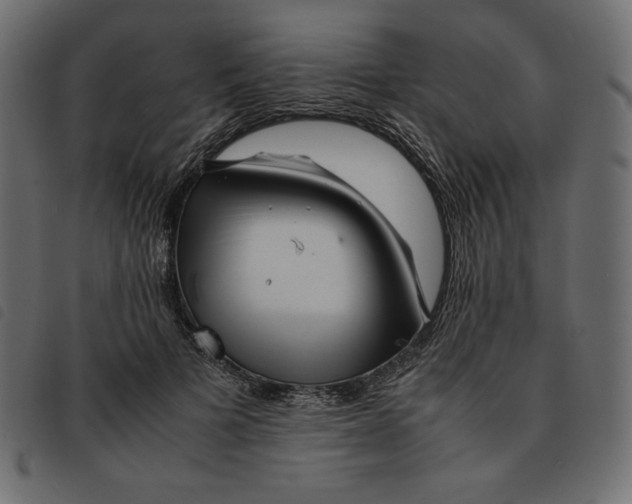 X0000092250697200710121259