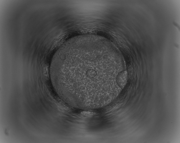 X0000092250699200710121259