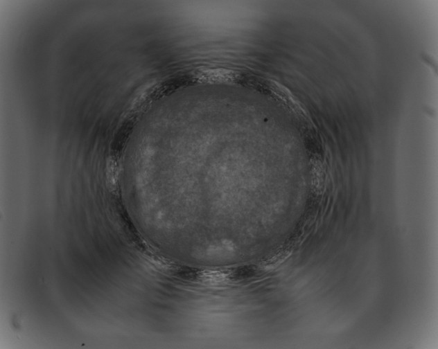 X0000092250701200710121259