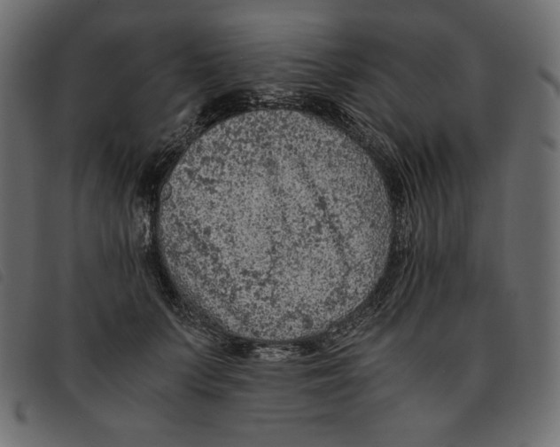 X0000092250703200710121259