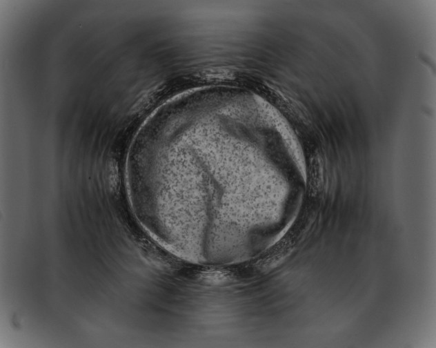 X0000092250704200710121259