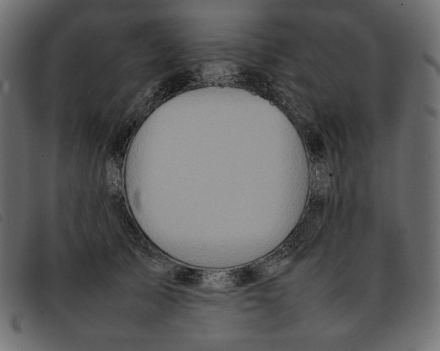 X0000092250705200710121259