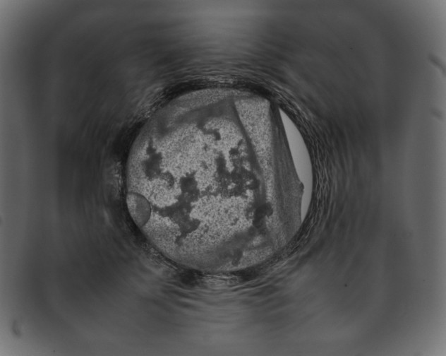 X0000092250707200710121259