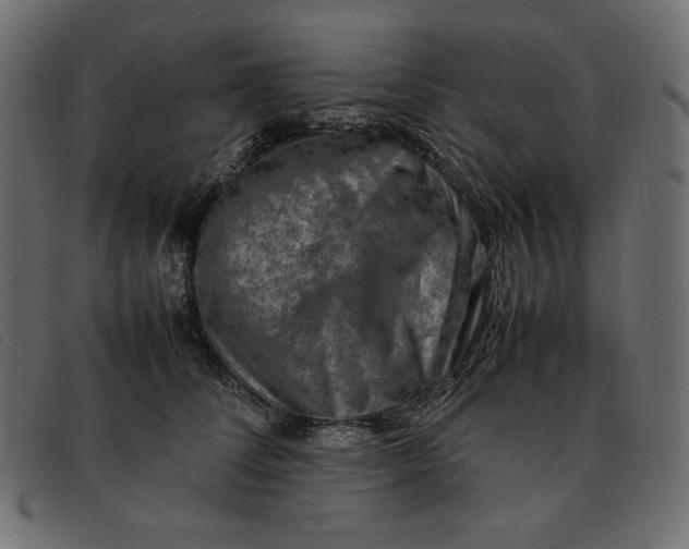 X0000092250708200710121259