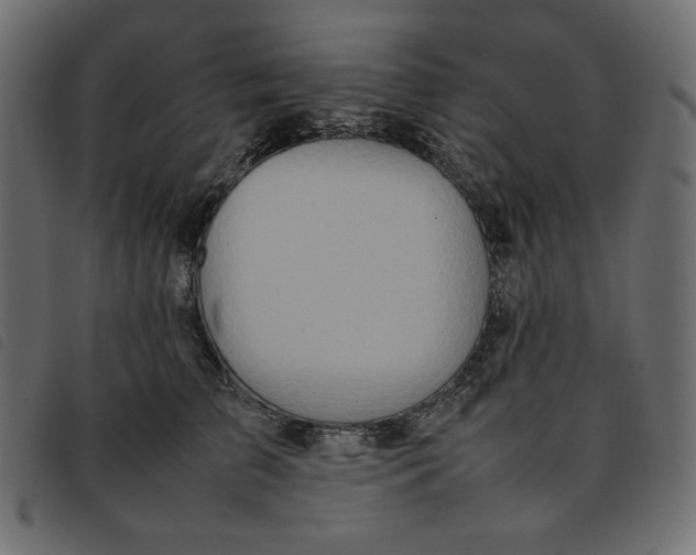 X0000092250709200710121259