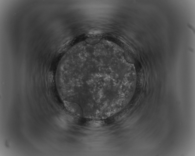 X0000092250711200710121259