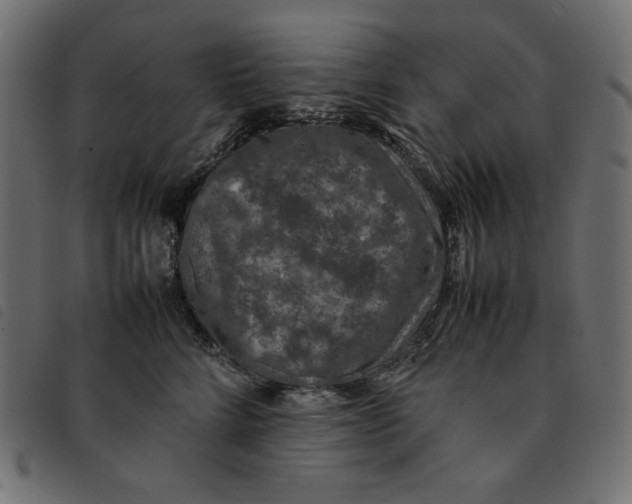 X0000092250712200710121259