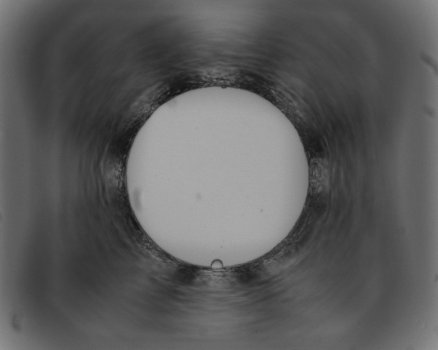 X0000092250713200710121259