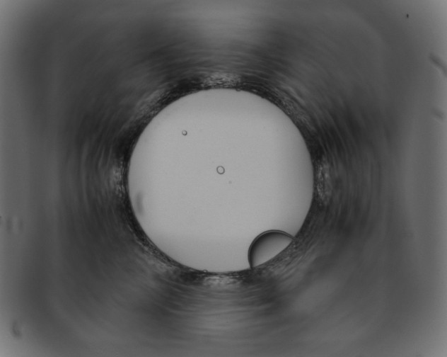 X0000092250714200710121259