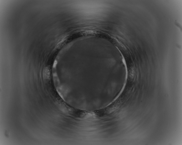 X0000092250715200710121259