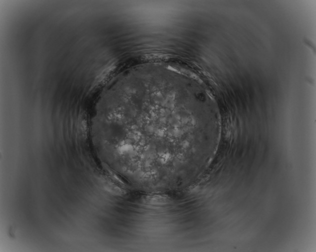 X0000092250716200710121259