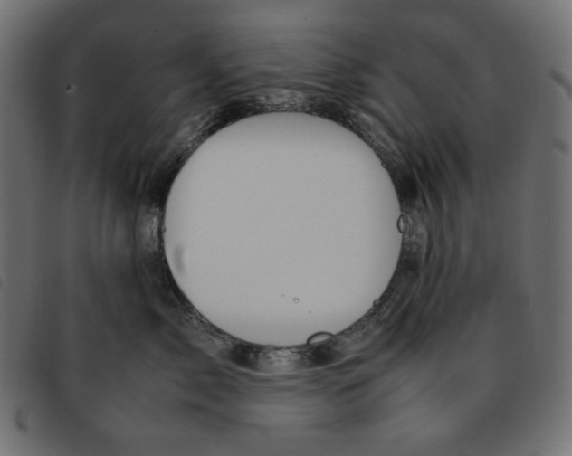 X0000092250717200710121259