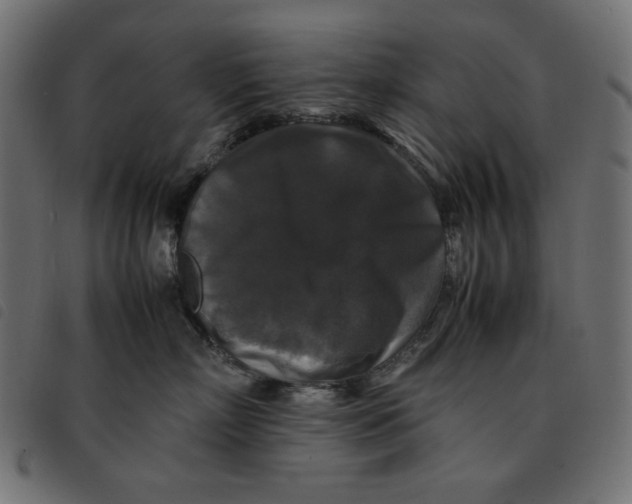 X0000092250718200710121259
