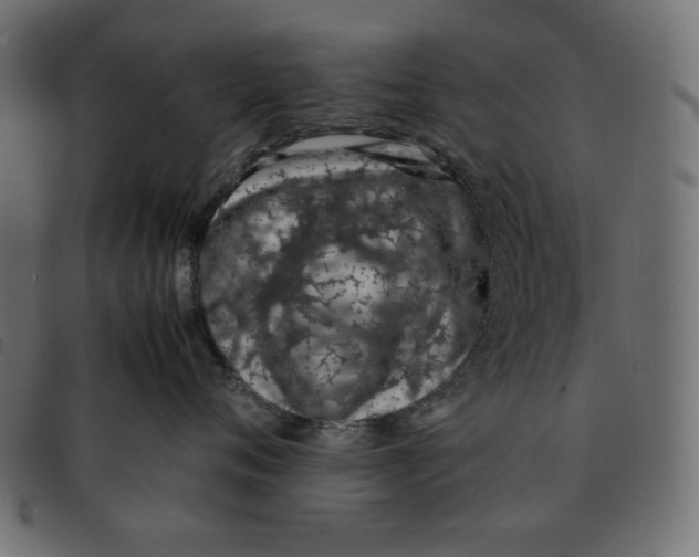 X0000092250720200710121259
